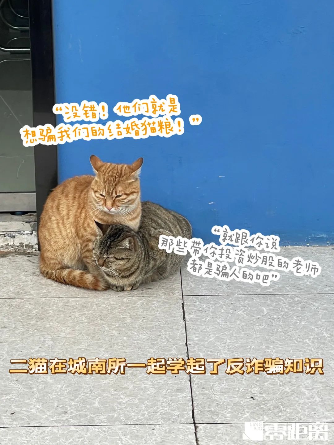 DƬ